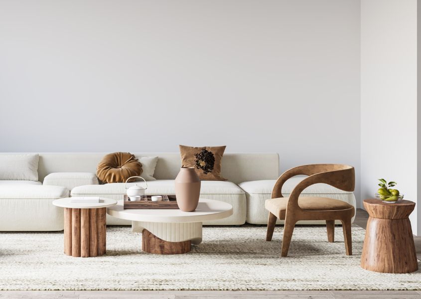 white living room with modern rustic furniture and white rug