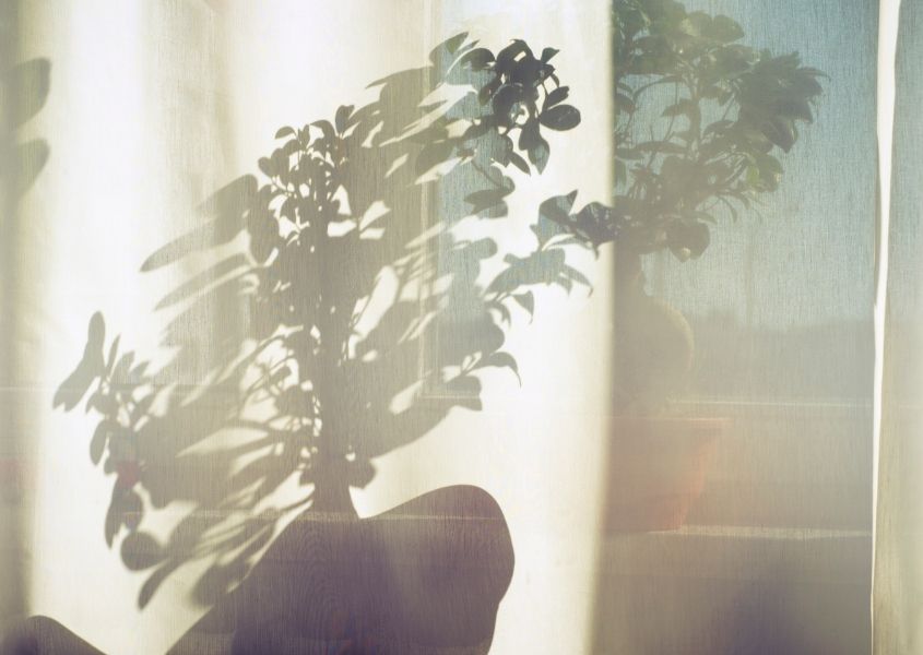 sheer curtain with shadow of plant for 6 tips to help you create an eco friendly bedroom