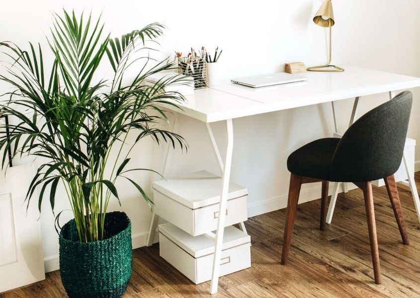 white paper boxes under white office desk with large green house palm