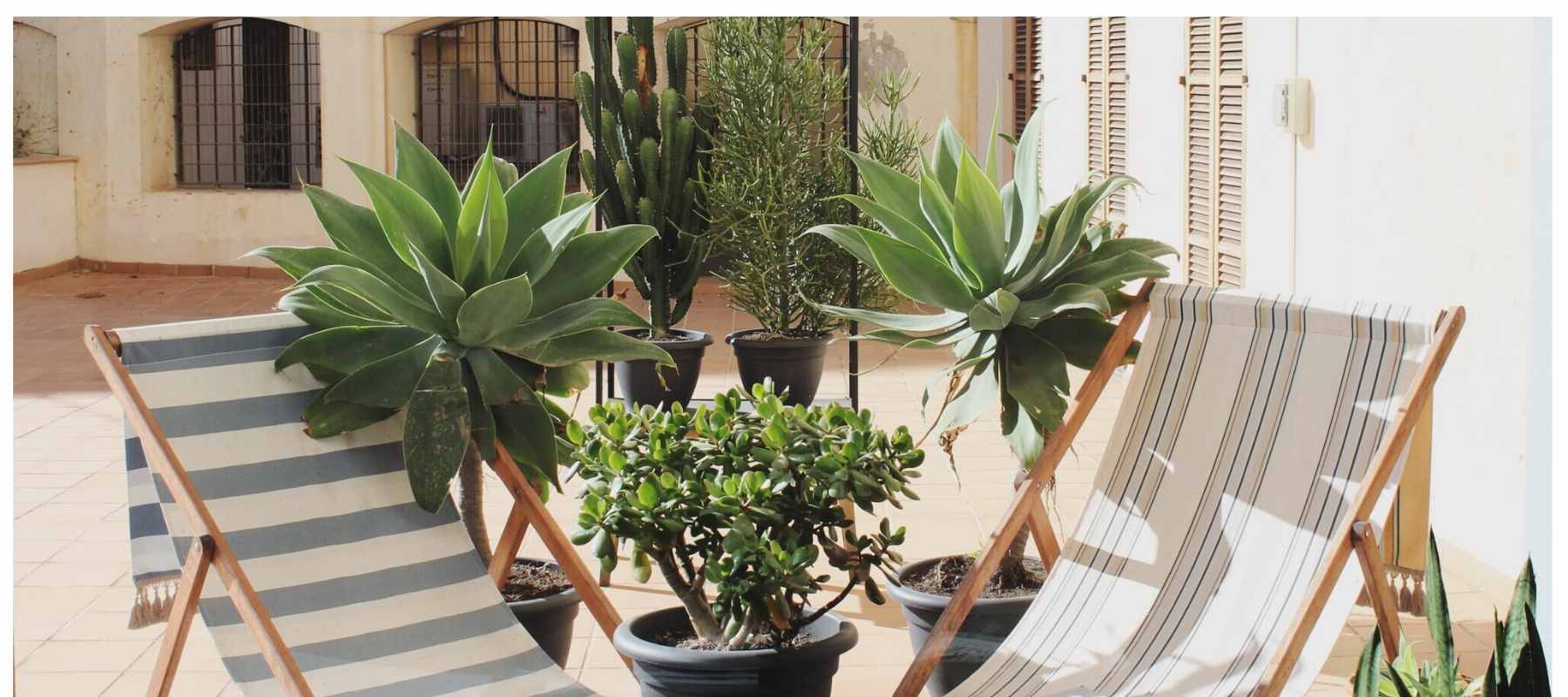 Two striped deckchairs next to pots of palms