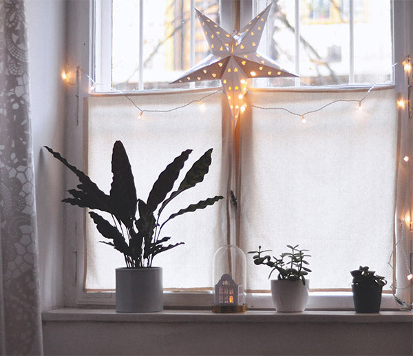 Christmas Decorations on Wooden White Window