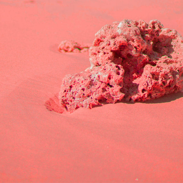 Coral Colour