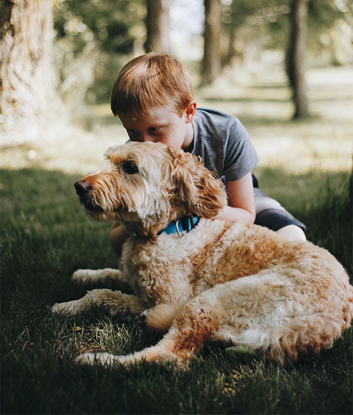 Dog and Boy at Picnic