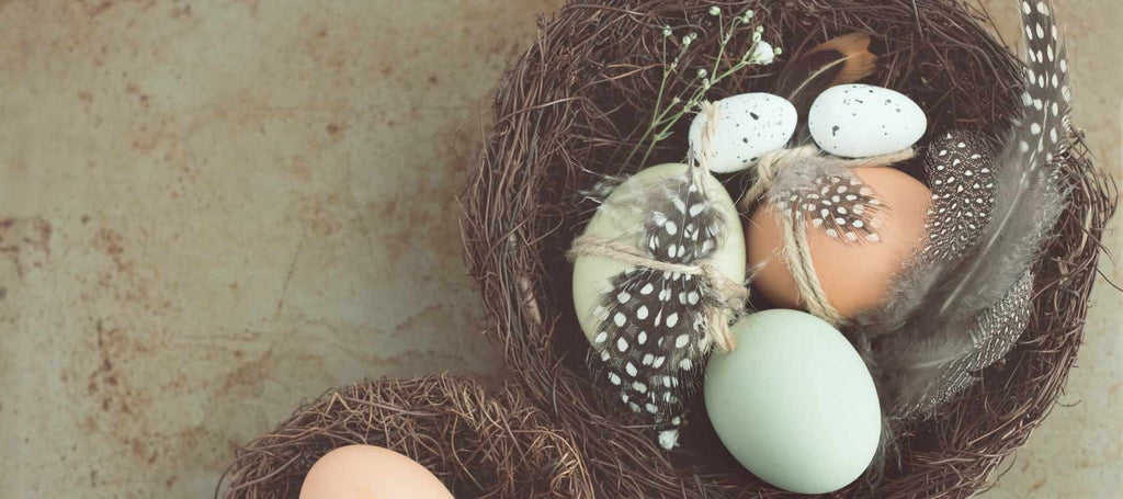 Coloured eggs with feathers in a bird's nest on a table