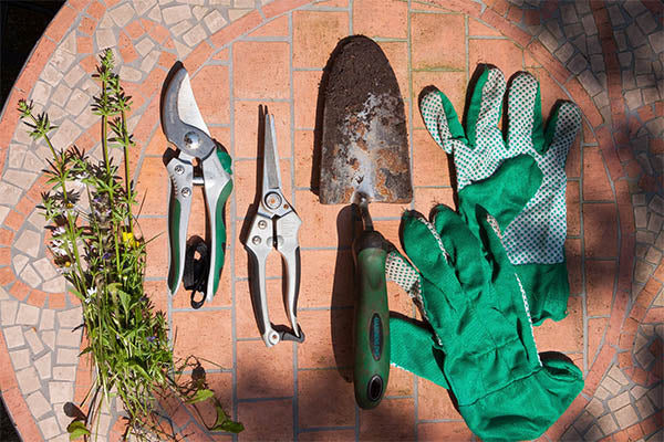 Garden Tools