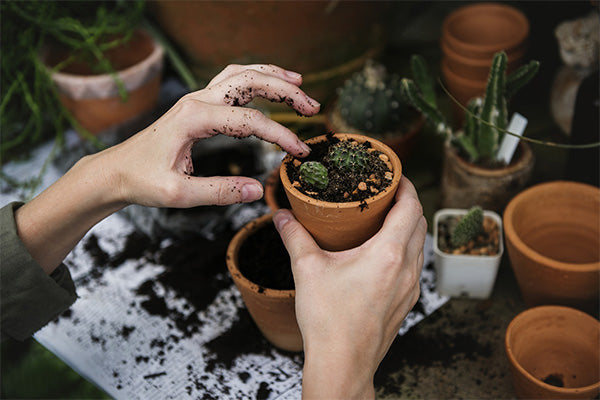 Woman Working in Garden