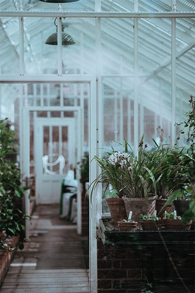 Greenhouse at Timberly