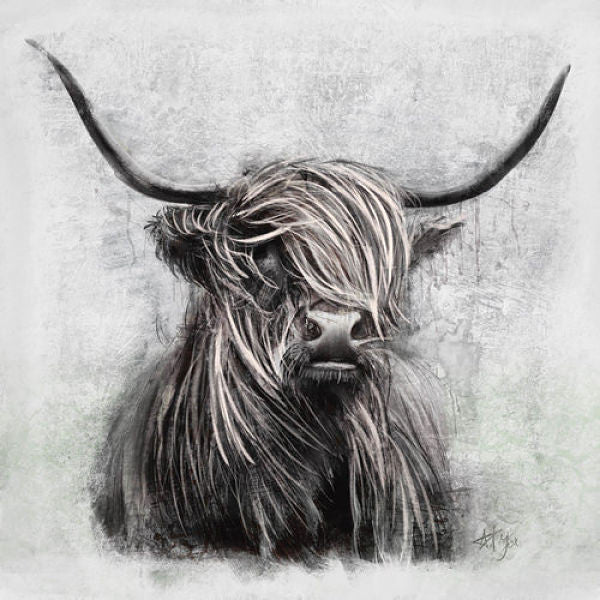 Grey Highlander Canvas Art