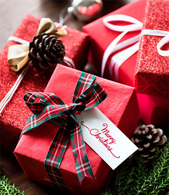 Merry Christmas from Timberly