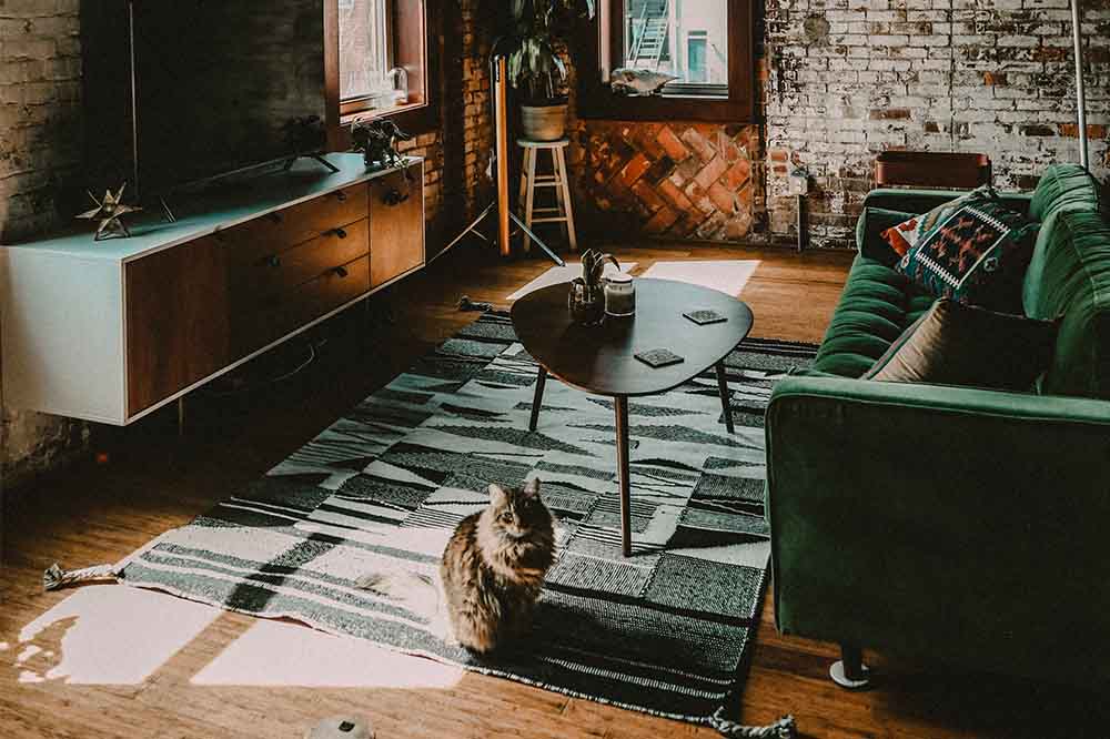 Patterned Rug in Living Room with Velvet Sofa