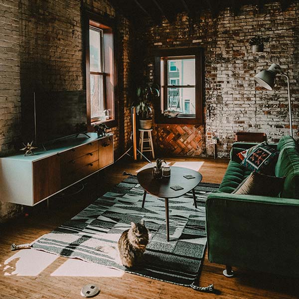 Patterned Rug in Living Room with Velvet Sofa