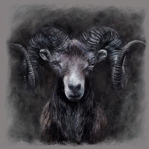 Dark Ram Canvas Art