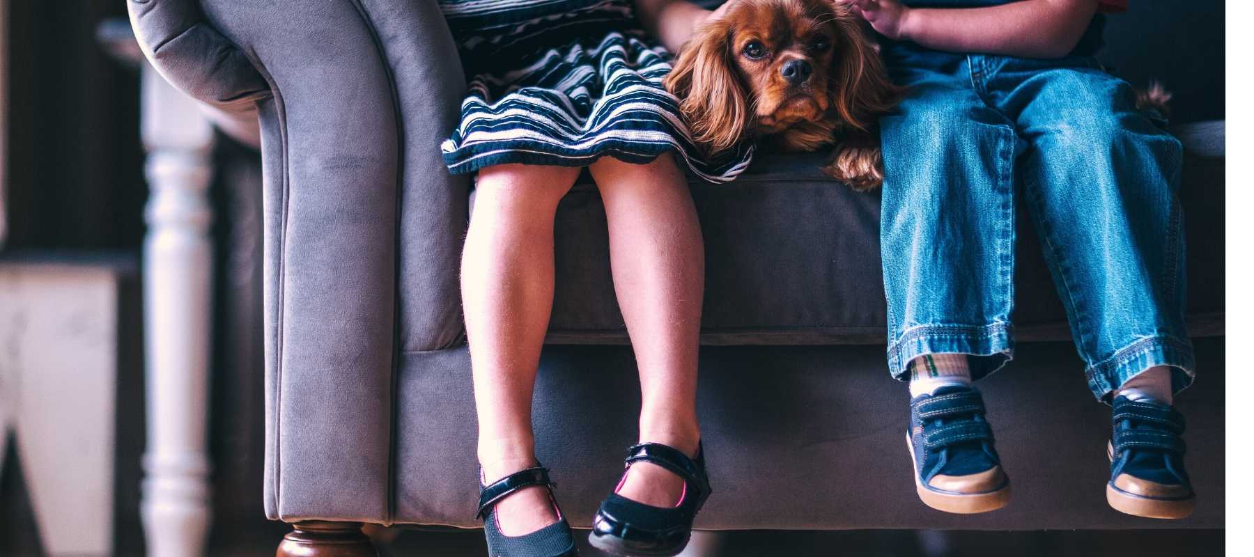Kid's and dog sitting on a grey chesterfield sofa