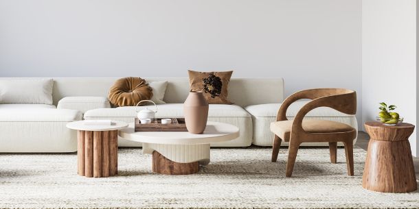 Modern rustic living room with modern white sofa and wooden modern furniture