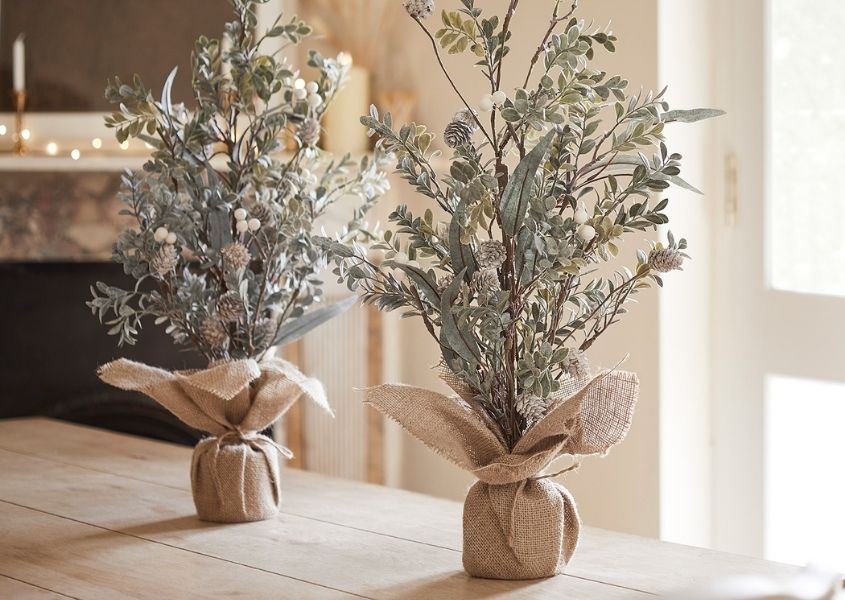 mini Christmas trees on solid wood dining table