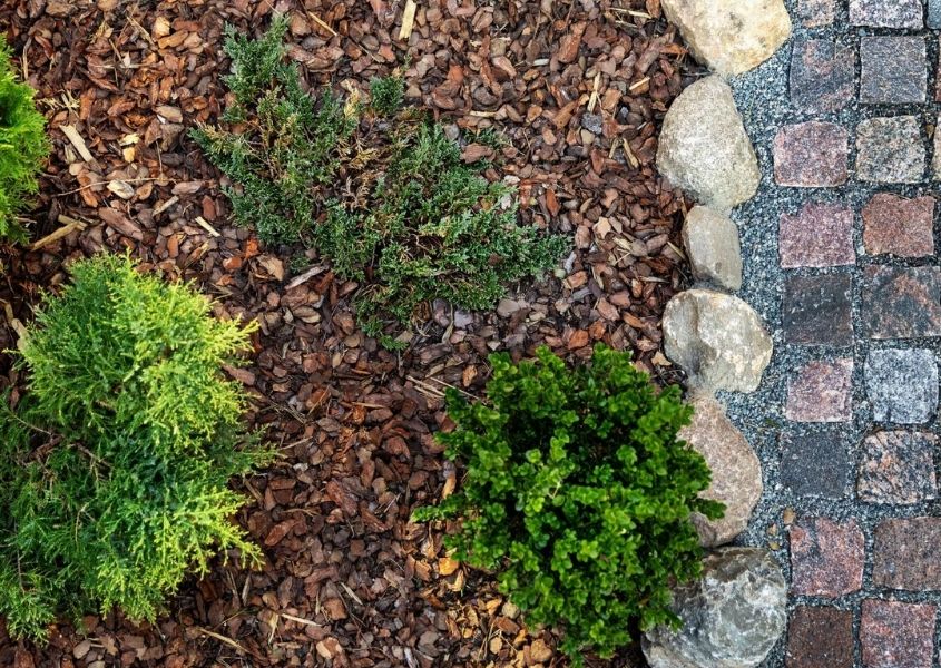 Woodchips and mulch on ground with green plants and side stone path