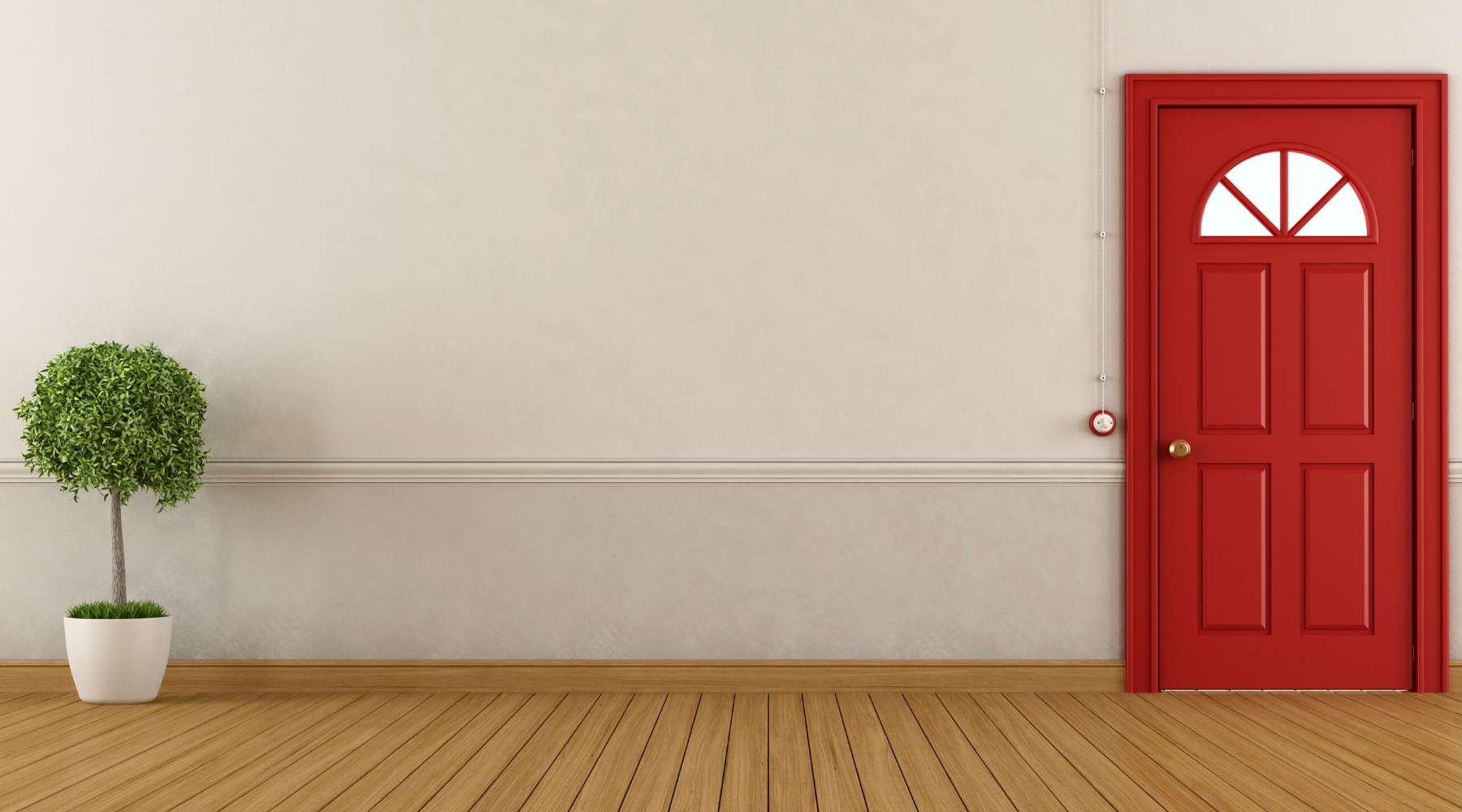 empty entrance hall with red door and houseplant