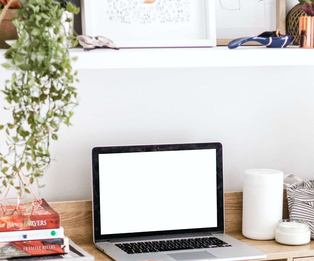 Green plant hanging on shelf above desk with laptop