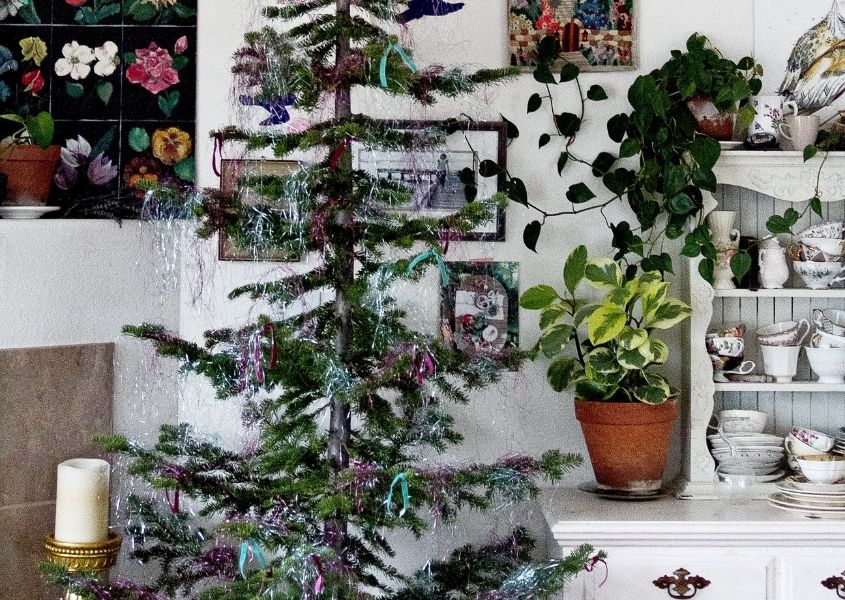 Thin Christmas tree in living room with snow frosting
