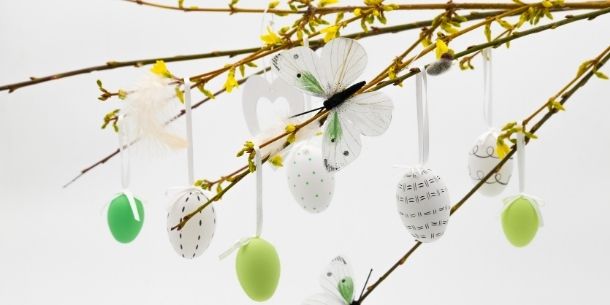 Thin twigs from a tree with yellow flowers