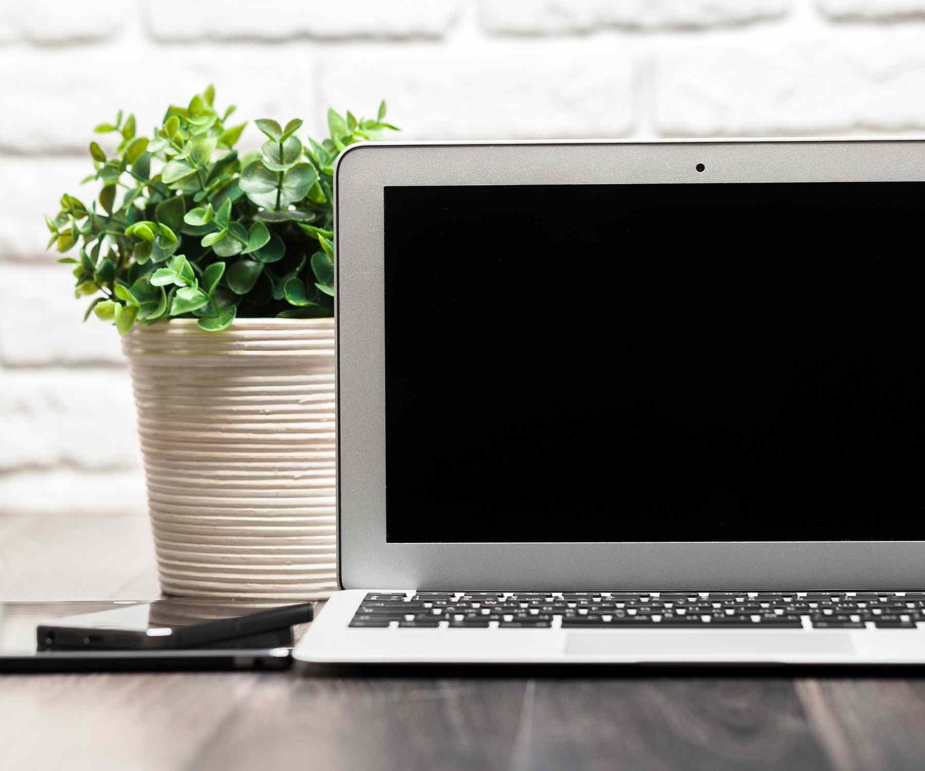 Laptop on desk with cream plant pot with plant