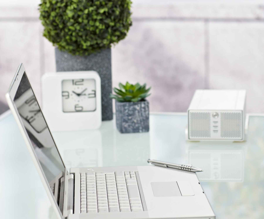 White laptop on white desk with green plant in pot