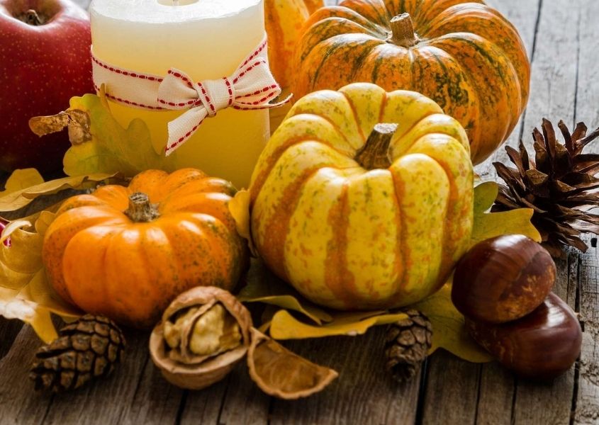 Close up on various squash and pumpkins on rustic dining table