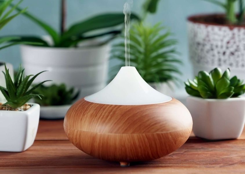 Wooden diffuser with stream of mist and green plants in white pots in background