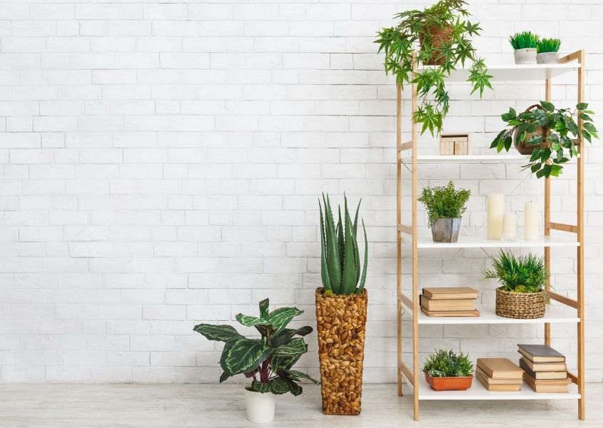 Wooden bookcase with hanging green plants for How to Style a Bookcase blog