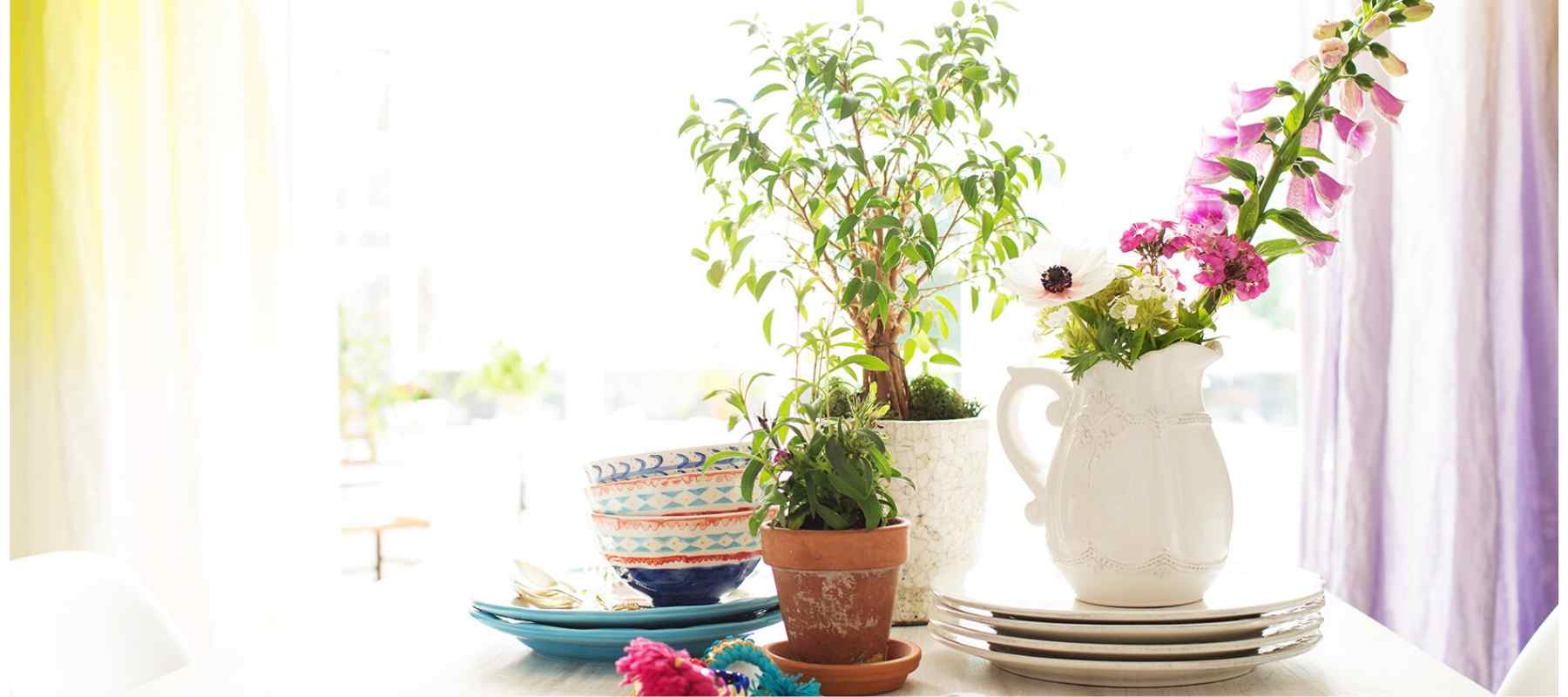 Flowers in vases on a table