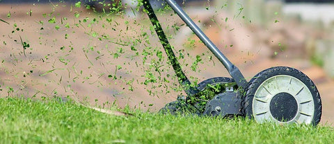 Mow the lawn in garden outdoor