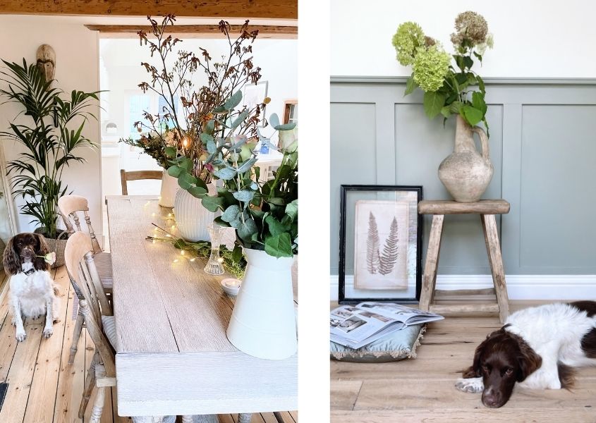 springer spaniel dog next to large displays of flowers for make your home beautiful with flowers blog