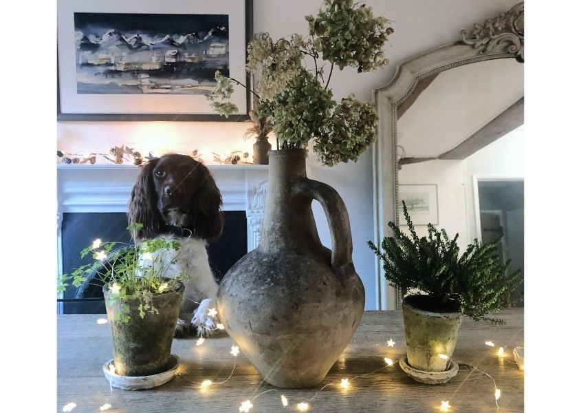 dog and solid wood dining table with stone vase and flowers