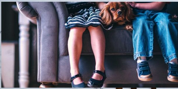 legs of two children and a dog sat on grey sofa