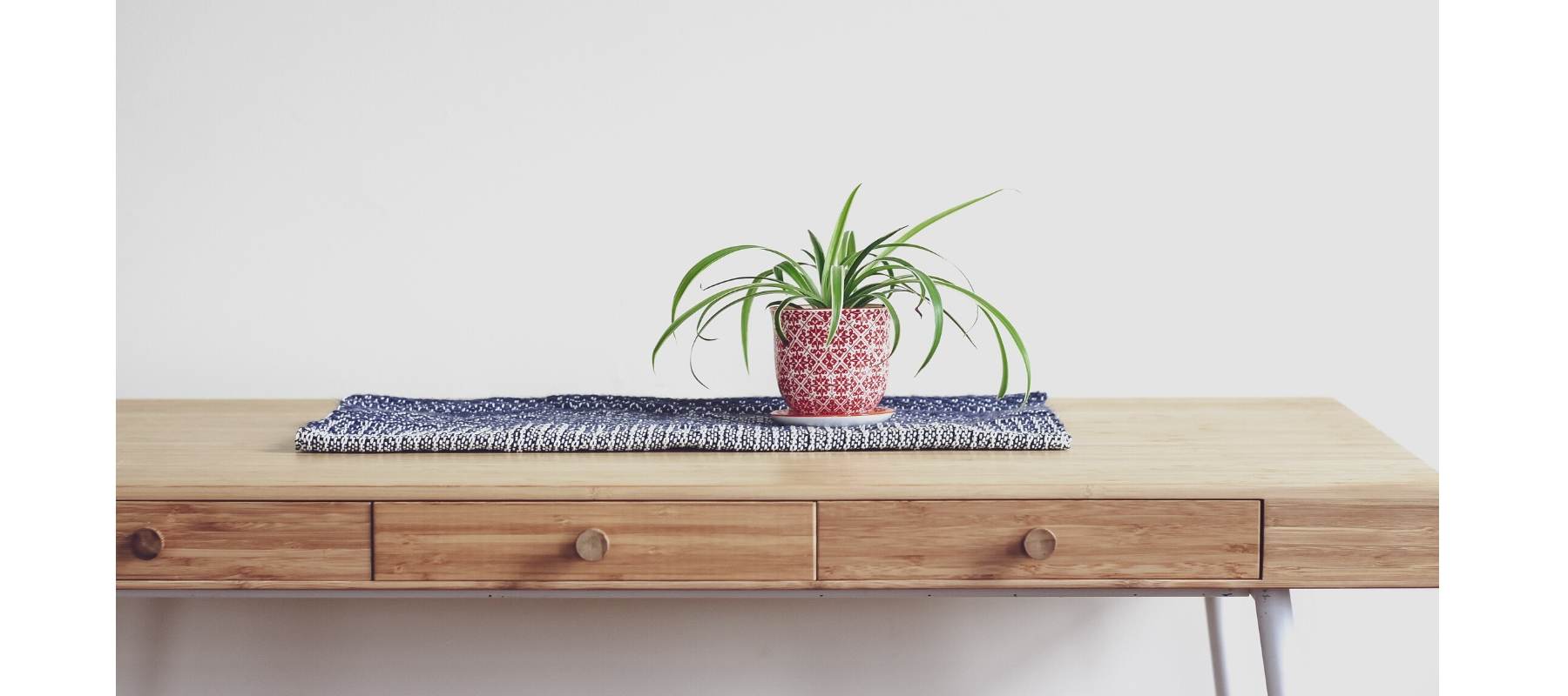 Rustic wood table in hallway with small green pot plant